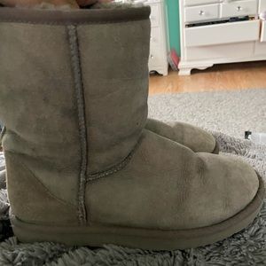Gray Ugg Boots